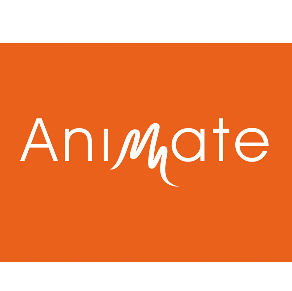 Animate Consulting logo